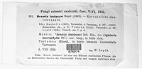 Bremia lactucae image